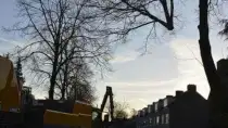 images/001-tuinaanleg-ettenleur/rijen/Slopen-boom-rijen-210x118-ff8
