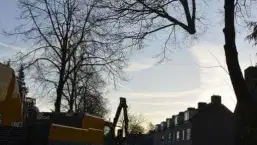 images/001-tuinaanleg-ettenleur/rijen/Slopen-boom-rijen-257x145-7f6