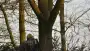 images/001-tuinaanleg-ettenleur/rijen/breda-boom-kap-90x51-664