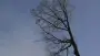 images/001-tuinaanleg-ettenleur/rijen/verwijderen-boom-90x51-355