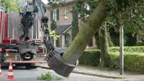 images/001-tuinaanleg-ettenleur/rotterdam-boom-kappen/1-boom-verwijderen-mierlo-210x118-ff8
