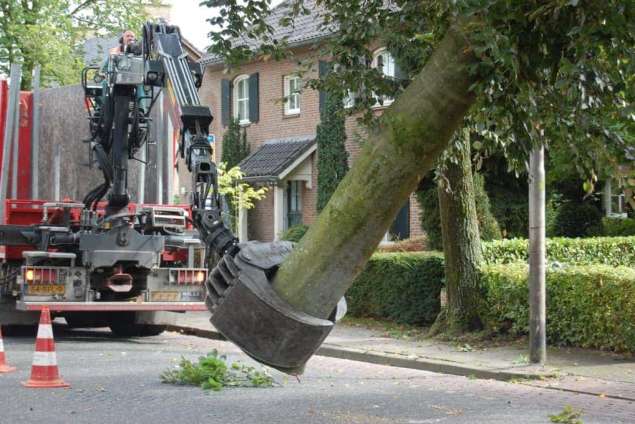 Bomen kappen Netersel