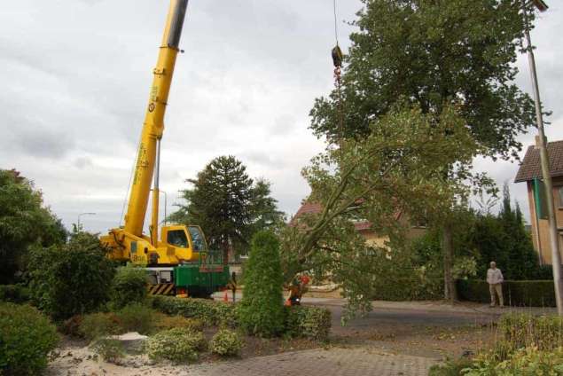 Boom verwijderen Mierlo Eindhoven