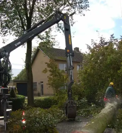 images/001-tuinaanleg-ettenleur/rotterdam-boom-kappen/4-boom-verwijderen-Vught-390x424-93a