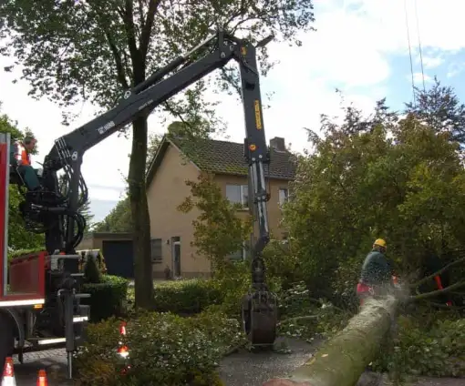 images/001-tuinaanleg-ettenleur/rotterdam-boom-kappen/4-boom-verwijderen-Vught-510x424-bfc