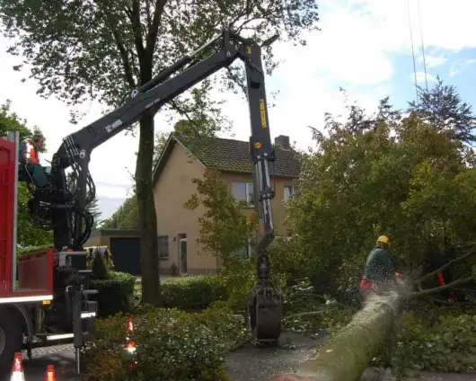 images/001-tuinaanleg-ettenleur/rotterdam-boom-kappen/4-boom-verwijderen-Vught-530x424-29a