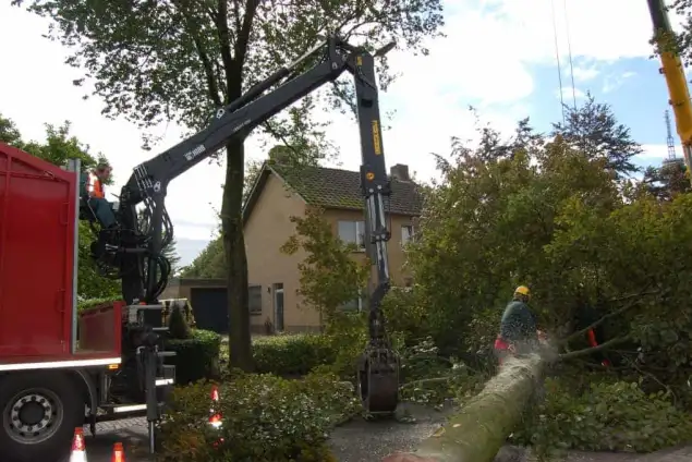 images/001-tuinaanleg-ettenleur/rotterdam-boom-kappen/4-boom-verwijderen-Vught-635x424-762