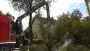 images/001-tuinaanleg-ettenleur/rotterdam-boom-kappen/4-boom-verwijderen-Vught-90x51-355