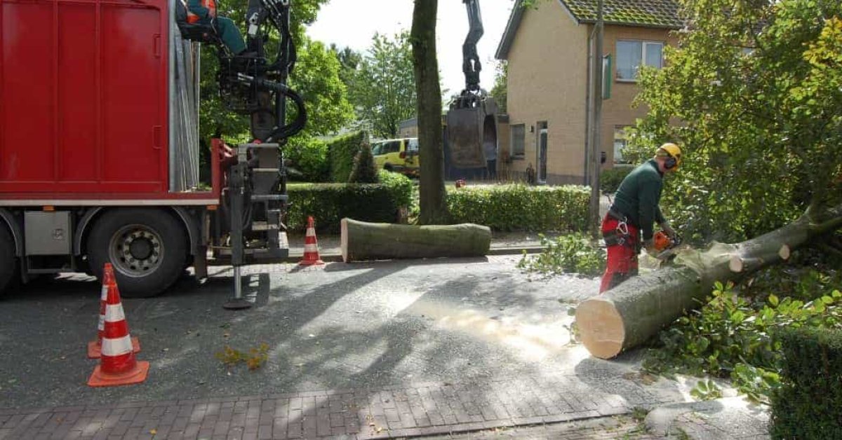 images/001-tuinaanleg-ettenleur/rotterdam-boom-kappen/6-verwijderen-bomen-1200x628-324