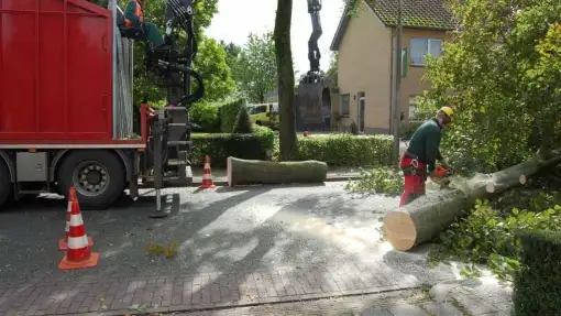 images/001-tuinaanleg-ettenleur/rotterdam-boom-kappen/6-verwijderen-bomen-510x287-46c