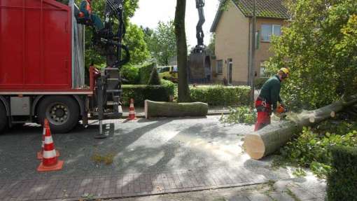 images/001-tuinaanleg-ettenleur/rotterdam-boom-kappen/6-verwijderen-bomen-510x287-6c8
