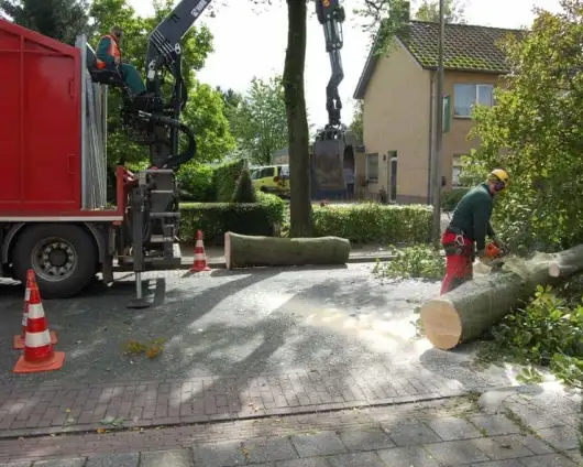 images/001-tuinaanleg-ettenleur/rotterdam-boom-kappen/6-verwijderen-bomen-530x424-29a