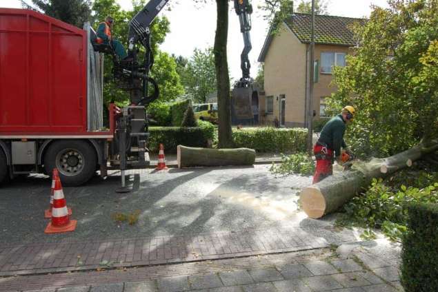 Bomen kappen Oirschot