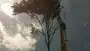 images/001-tuinaanleg-ettenleur/rotterdam-boom-kappen/Bomen-verwijderen-Amsterdam-90x51-355