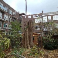 images/001-tuinaanleg-ettenleur/rotterdam-boom-kappen/Rotterdam-bomen-rooien-200x200-f45