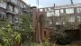 images/001-tuinaanleg-ettenleur/rotterdam-boom-kappen/Rotterdam-bomen-rooien-90x51-355