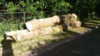 images/001-tuinaanleg-ettenleur/rotterdam-boom-kappen/bomen-verwijderen-Gouda-320x180-fea