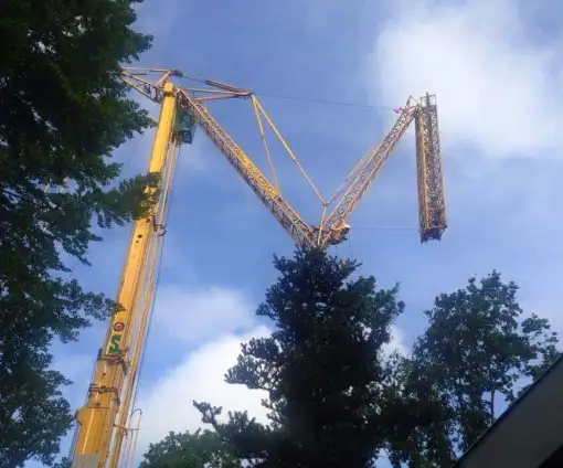 images/001-tuinaanleg-ettenleur/rotterdam-boom-kappen/boom-verwijderen--Den-Bosch-510x424-bfc