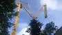 images/001-tuinaanleg-ettenleur/rotterdam-boom-kappen/boom-verwijderen--Den-Bosch-90x51-355