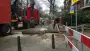 images/001-tuinaanleg-ettenleur/rotterdam-boom-kappen/rotterdam-verwijderen-van-een-italiaanse-populier-90x51-355