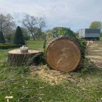 images/001-tuinaanleg-ettenleur/terschuur-boom-kappen/bomen-rooien-berneveld-terschuur-200x200-42d