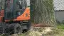 images/001-tuinaanleg-ettenleur/terschuur-boom-kappen/boom-kap-terschuur-90x51-319