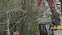 images/001-tuinaanleg-ettenleur/terschuur-boom-kappen/boom-kappen-terschuur-kosten-90x51-319