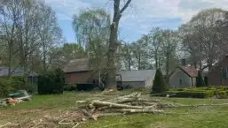 images/001-tuinaanleg-ettenleur/terschuur-boom-kappen/kappen-boom-terschuur-257x145-1cb