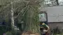 images/001-tuinaanleg-ettenleur/terschuur-boom-kappen/populier-kap-terschuur-90x51-319