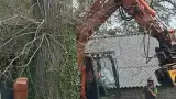 images/001-tuinaanleg-ettenleur/terschuur-boom-kappen/terschuur-boom-kap-160x90-ede