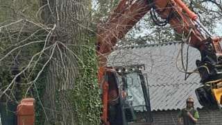 bomen rooien terschuur