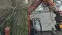 images/001-tuinaanleg-ettenleur/terschuur-boom-kappen/terschuur-boom-kap-90x51-319