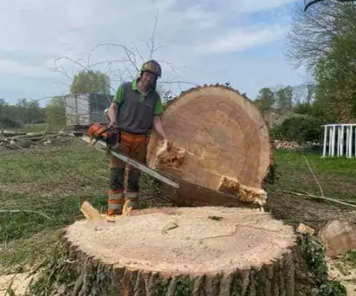 images/001-tuinaanleg-ettenleur/terschuur-boom-kappen/terschuur-boom-kappen-510x424-f86