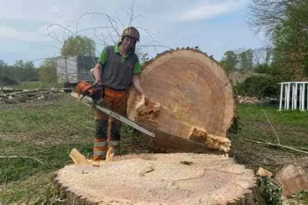 images/001-tuinaanleg-ettenleur/terschuur-boom-kappen/terschuur-boom-kappen-635x424-148