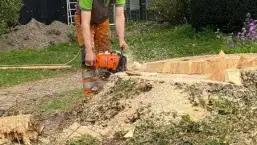 images/001-tuinaanleg-ettenleur/terschuur-boom-kappen/verwijderen-boom-terschuur-257x145-1cb