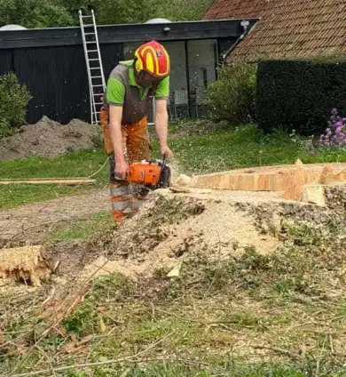 images/001-tuinaanleg-ettenleur/terschuur-boom-kappen/verwijderen-boom-terschuur-390x424-b69