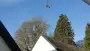 images/001-tuinaanleg-ettenleur/velp/Bomen-rooien-uit-achtertuin-in-Velp-90x51-38e