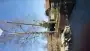 images/001-tuinaanleg-ettenleur/velp/Kappen-van-bomen-in-Velp-90x51-38e