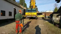 images/001-tuinaanleg-ettenleur/velp/Kastanje-boom-kappen-Velp-257x145-e1b
