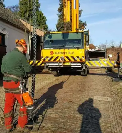 images/001-tuinaanleg-ettenleur/velp/Kastanje-boom-kappen-Velp-390x424-b1f