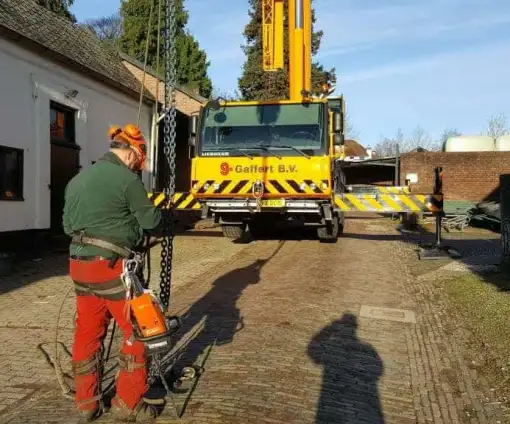 images/001-tuinaanleg-ettenleur/velp/Kastanje-boom-kappen-Velp-510x424-085