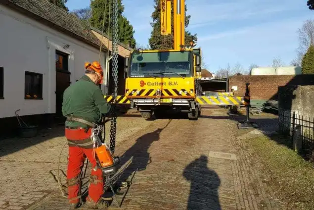 images/001-tuinaanleg-ettenleur/velp/Kastanje-boom-kappen-Velp-635x424-8e8