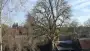 images/001-tuinaanleg-ettenleur/velp/bomen-rooien-Velp-Arhem-90x51-38e