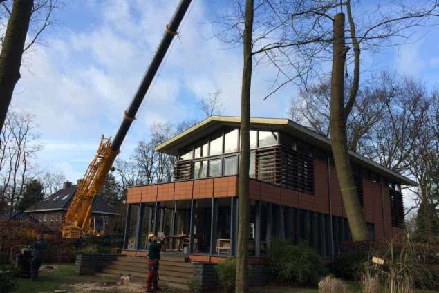 Bomen rooien Zeist 