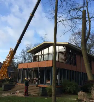 images/001-tuinaanleg-ettenleur/zeist/Zeist--Soest-boom-kappen-390x424-e4e