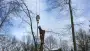 images/001-tuinaanleg-ettenleur/zeist/Zeist--Soest-boom-rooien-90x51-820