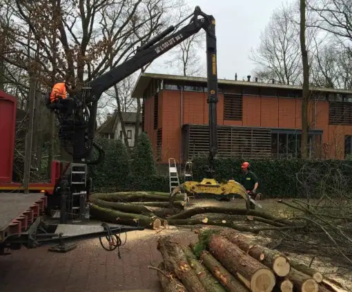 images/001-tuinaanleg-ettenleur/zeist/Zeist--bomen-verwijderen-510x424-054