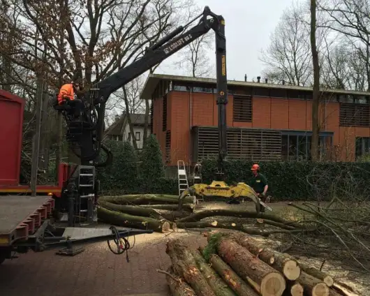 images/001-tuinaanleg-ettenleur/zeist/Zeist--bomen-verwijderen-530x424-9f4