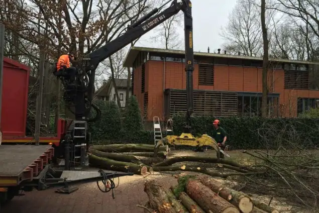 images/001-tuinaanleg-ettenleur/zeist/Zeist--bomen-verwijderen-635x424-4e6