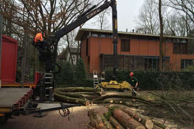 Bomen rooien Zeist 